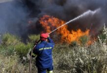 Τώρα: Φωτιά στο Ωραιόκαστρο – Υπό μερικό έλεγχο χάρη στην άμεση επέμβαση