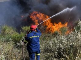 Τώρα: Φωτιά στο Ωραιόκαστρο – Υπό μερικό έλεγχο χάρη στην άμεση επέμβαση