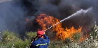 ΤΩΡΑ Φωτιά σε Ξερά Χόρτα στο Ωραιόκαστρο