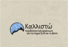 Παγκόσμια Ημέρα Δασοπονίας: Η Σημασία της Προστασίας των Ελληνικών Δασών