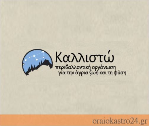 kallisto