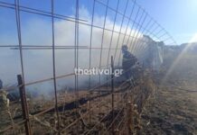 Θεσσαλονίκη: Κάηκε ποιμνιοστάσιο με ζώα από τη μεγάλη φωτιά στον Λαγκαδά, φωτο