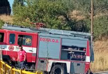 Ωραιόκαστρο: Φωτιά τώρα στο Μονόλοφο, βίντεο
