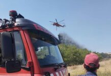 Υπό μερικό έλεγχο η φωτιά στο Φίλυρο: Έκαψε 100 στρέμματα πουρνάρια – Πολύτιμη η συνδρομή της Εθ.Ελ.Ο.Δ Δρυμού