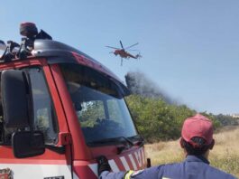Υπό μερικό έλεγχο η φωτιά στο Φίλυρο: Έκαψε 100 στρέμματα πουρνάρια – Πολύτιμη η συνδρομή της Εθ.Ελ.Ο.Δ Δρυμού