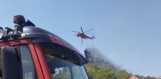 Υπό μερικό έλεγχο η φωτιά στο Φίλυρο: Έκαψε 100 στρέμματα πουρνάρια – Πολύτιμη η συνδρομή της Εθ.Ελ.Ο.Δ Δρυμού
