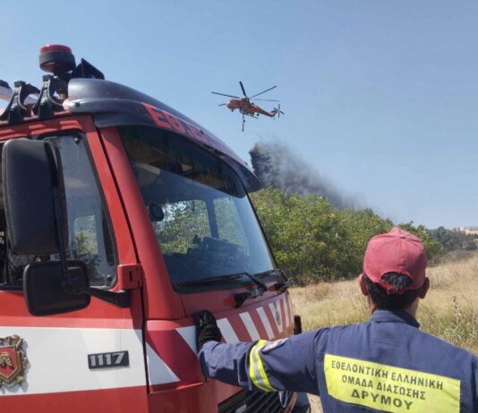 Υπό μερικό έλεγχο η φωτιά στο Φίλυρο: Έκαψε 100 στρέμματα πουρνάρια – Πολύτιμη η συνδρομή της Εθ.Ελ.Ο.Δ Δρυμού