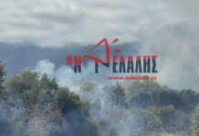 Φωτιά τώρα στο Λιτόχωρο Πιερίας – Ήχησε το 112