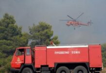 Συναγερμός στη Θεσσαλονίκη: Μεγάλη κινητοποίηση επίγειων και εναέριων δυνάμεων για φωτιά στα Πεύκα – Ήχησε το 112