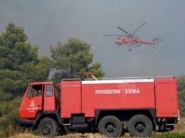 Συναγερμός στη Θεσσαλονίκη: Μεγάλη κινητοποίηση επίγειων και εναέριων δυνάμεων για φωτιά στα Πεύκα – Ήχησε το 112