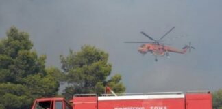 Συναγερμός στη Θεσσαλονίκη: Μεγάλη κινητοποίηση επίγειων και εναέριων δυνάμεων για φωτιά στα Πεύκα – Ήχησε το 112