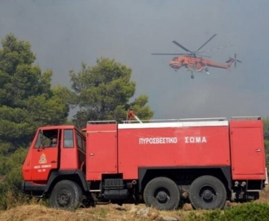Συναγερμός στη Θεσσαλονίκη: Μεγάλη κινητοποίηση επίγειων και εναέριων δυνάμεων για φωτιά στα Πεύκα – Ήχησε το 112