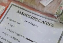 Ωραιόκαστρο: Η φιλοζωική καταγγέλλει “Έδεσαν ζωντανό αρνάκι σε προαύλιο εκκλησίας και το έδιναν ως δώρο σε λαχειοφόρο”