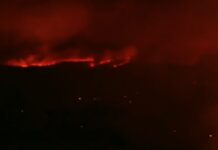Φωτιά στη Β.Α. Αττική: Η εικόνα του πύρινου μετώπου τώρα