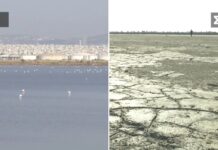 Λιμνοθάλασσα Καλοχωρίου: Μετατράπηκε σε απέραντη στέπα λόγω της κλιματικής κρίσης