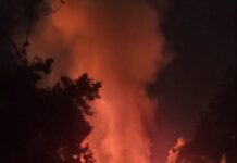 Φωτιά τώρα στη δυτική Θεσσαλονίκη