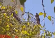 ΤΩΡΑ Θεσσαλονίκη: Άνδρας απειλεί να πέσει στο κενό από τον 6ο όροφο πολυκατοικίας, βίντεο