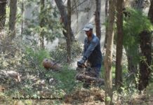 Υλοτόμοι έριξαν ” Αγιασμό ” στα μηχανήματα τους