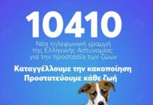 10410: Η τηλεφωνική γραμμή που μπορείς να καλείς για καταγγελίες κακοποίησης ζώων