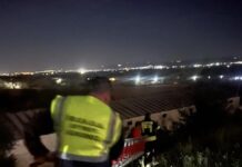Θεσσαλονίκη: Διάσωση προβάτων που εγκλωβίστηκαν σε βάλτο- Εκεί και η Εθ.Ελ.Ο.Δ.Δρυμού