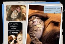 Παγκόσμια Ημέρα των Ζώων – Που στοχεύει – Ποια η ιστορία της