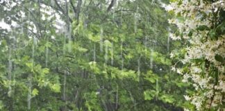 Καιρός: Επιστροφή της Αστάθειας με Ισχυρές Καταιγίδες απόψε – Ψύχρα στα Βόρεια