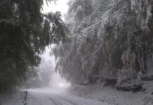 Πρώτη ενημέρωση για τα χιόνια στο Ωραιόκαστρο: Ποια σχολεία είναι σήμερα κλειστά – Η εικόνα στους δρόμους