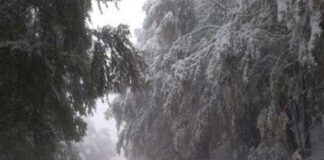 Πρώτη ενημέρωση για τα χιόνια στο Ωραιόκαστρο: Ποια σχολεία είναι σήμερα κλειστά – Η εικόνα στους δρόμους