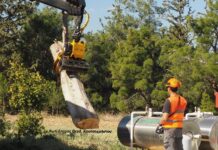 Σύγχρονη υλοτομία πόλεως και στην Ελλάδα