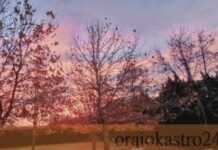 Ο καιρός σήμερα: Αφρικανική σκόνη και βροχές από το απόγευμα