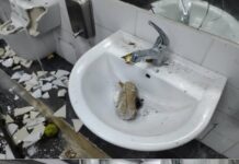 Θεσσαλονίκη: Βανδάλισαν δημόσιες τουαλέτες – Η ανακοίνωση του Δήμου