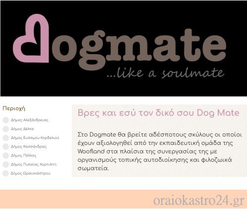 dog