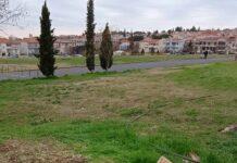 Ωραιόκαστρο: Απομακρύνθηκε το επικίνδυνο δέντρο απο τα “Αλώνια”