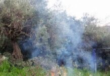 Πυροπροστασία Ωραιοκάστρου: Η Λαϊκή Συσπείρωση Ζητά Λογοδοσία και Ουσιαστικά Μέτρα