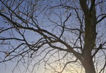 Ο Καιρός Σήμερα – Αναλυτική Πρόγνωση