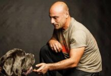 Χ.Κούτσης: «Φραγμός» στους εκπαιδευτές σκύλων η νέα εγκύκλιος για τα αδέσποτα