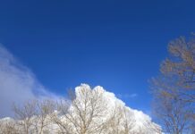 Καιρός Σήμερα : Ήπιος και Αίθριος με 20°C τοπικά – Προσοχή σε Ομίχλες