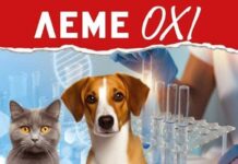 Τα ηχηρά ΟΧΙ του Πανελλήνιου Κτηνιατρικού Συλλόγου