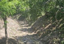 Σε εξέλιξη ο καθαρισμός του ρέματος της Αγίας Παρασκευής στο Παλαιόκαστρο