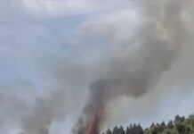 ΤΩΡΑ Πυρκαγιά στη Δ. Θεσσαλονίκης: Σε Εξέλιξη Μεγάλη Κινητοποίηση Πυροσβεστικών Δυνάμεων