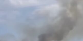 ΤΩΡΑ Πυρκαγιά στη Δ. Θεσσαλονίκης: Σε Εξέλιξη Μεγάλη Κινητοποίηση Πυροσβεστικών Δυνάμεων