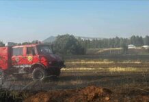 Έγκαιρη Αντιμετώπιση Πυρκαγιάς σε Αγροτική Έκταση μεταξύ Δρυμού και Μελισσοχωρίου