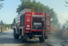 ΤΩΡΑ: Φωτιά σε χόρτα πίσω από το Διαβαλκανικό – Στο σημείο ισχυρή δύναμη της Πυροσβεστικής, βίντεο