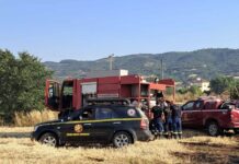 Και η Ελ.Εθ.Ο.Δ.Δρυμού στην φωτιά της Πυλαίας