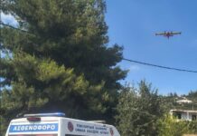 Μεγάλη Πυρκαγιά στην Ευκαρπία: Στη Μάχη των Δυνάμεων Κατάσβεσης και η Ελ.Εθ.Ο.Δ.Δρυμού