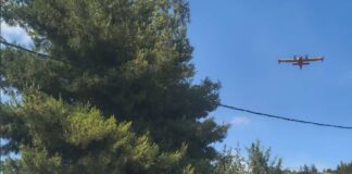 Μεγάλη Πυρκαγιά στην Ευκαρπία: Στη Μάχη των Δυνάμεων Κατάσβεσης και η Ελ.Εθ.Ο.Δ.Δρυμού