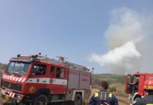 Φωτιά στη Θεσσαλονίκη: Προληπτική Εκκένωση στο Βαϊοχώρι με τη Συμμετοχή της Εθ.Ελ.Ο.Δ. Δρυμού