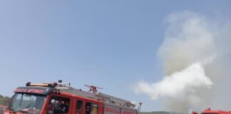 Φωτιά στη Θεσσαλονίκη: Προληπτική Εκκένωση στο Βαϊοχώρι με τη Συμμετοχή της Εθ.Ελ.Ο.Δ. Δρυμού