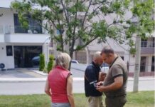 «Σαφάρι» Προστίμων σε Ιδιοκτήτες Ζώων στη Θεσσαλονίκη – Δεκάδες Παραβάσεις τον Μάιο