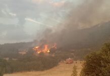Μεγάλη Πυρκαγιά στο Δ.Ωραιόκαστρο: Ενισχυμένες Δυνάμεις, Βελτιωμένη Εικόνα, Συμβάλει και η Εθ.Ελ.Ο.Δ.Δρυμού